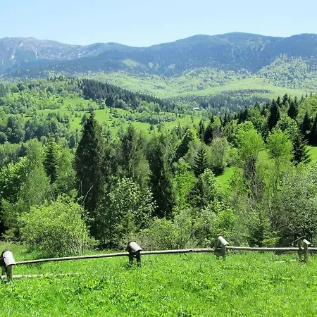 U Adama Zawoja